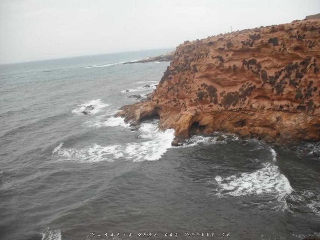 DSCF1076.jpg