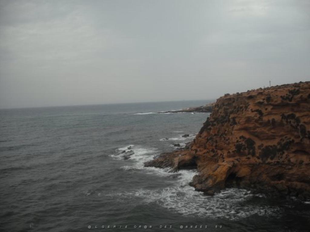 DSCF1078.jpg
