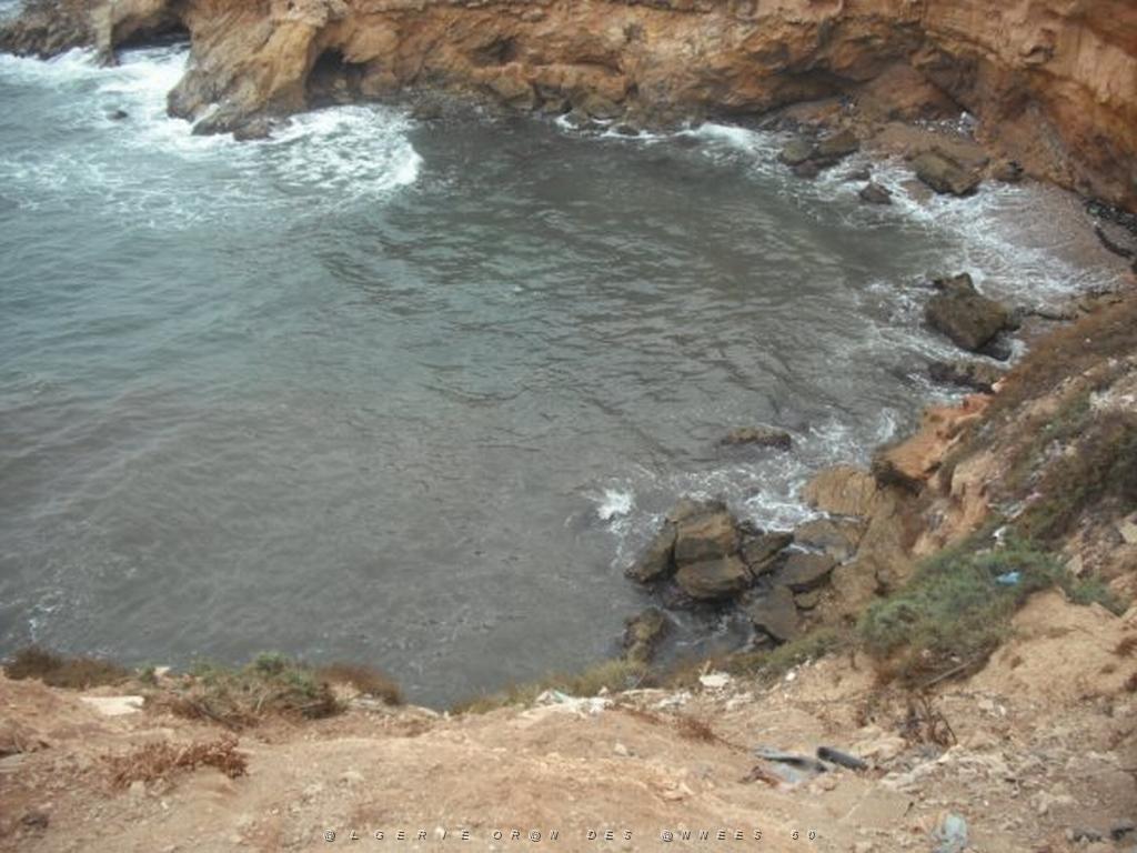 DSCF1079.jpg