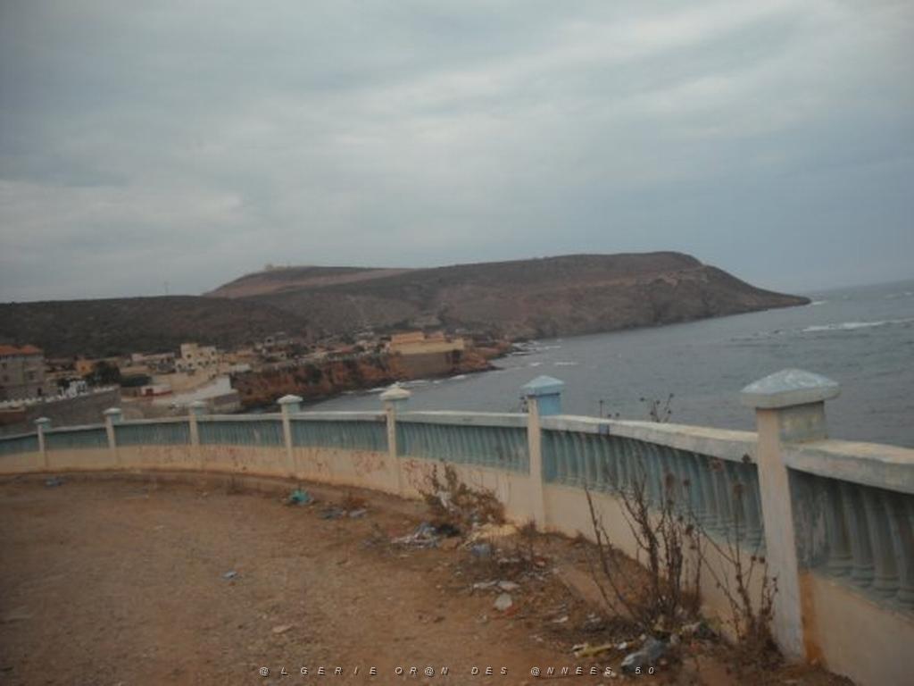 DSCF1084.jpg