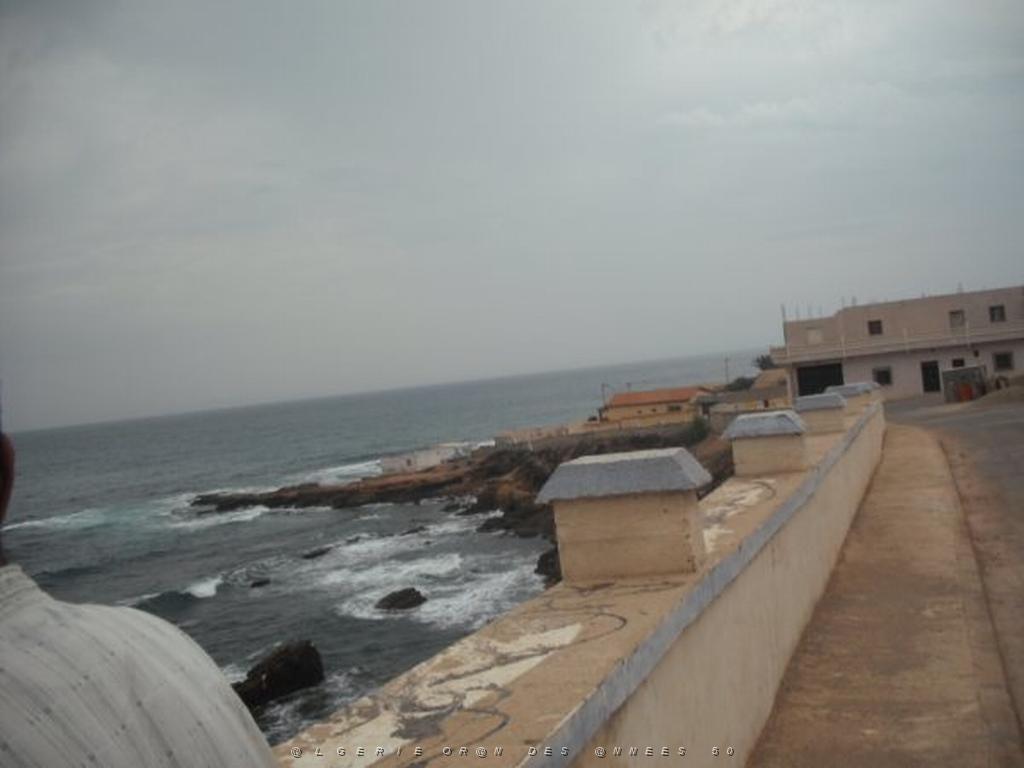 DSCF1095.jpg