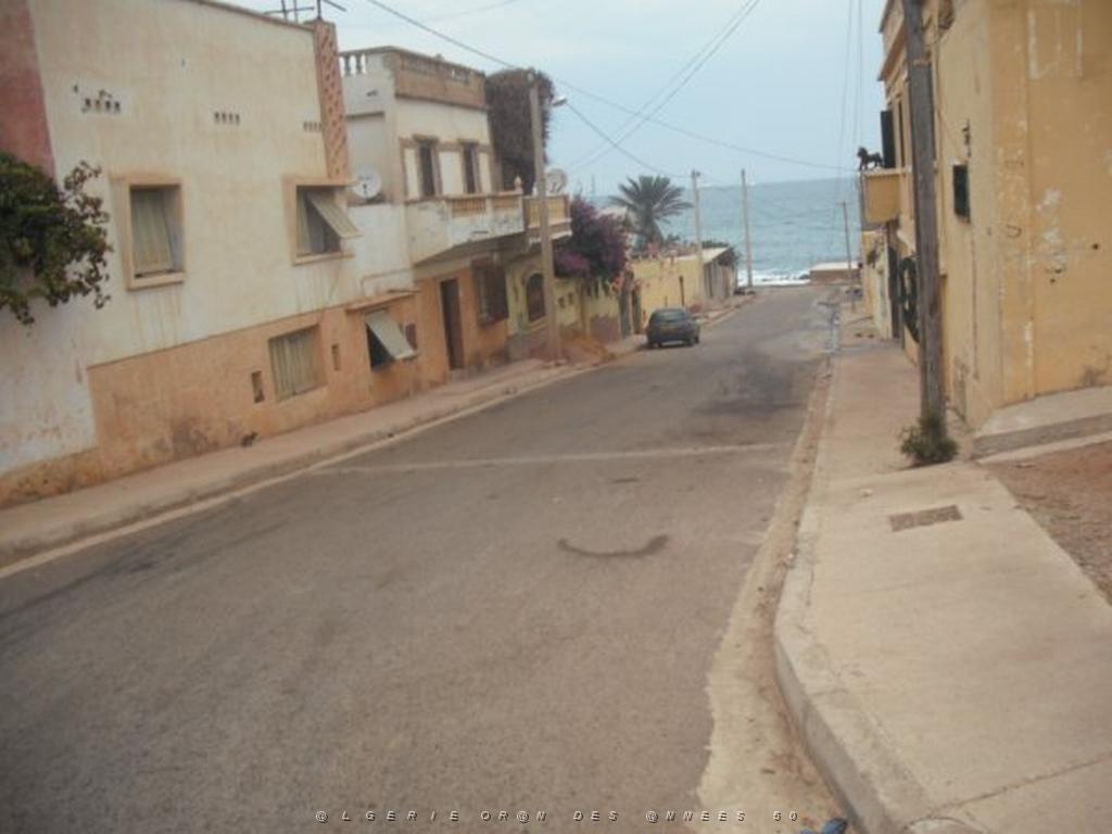 DSCF1106.jpg