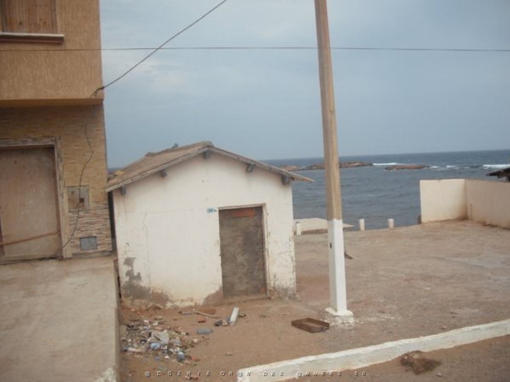DSCF1126.jpg