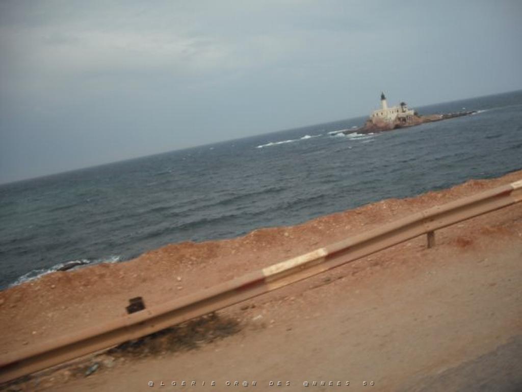 DSCF1133.jpg