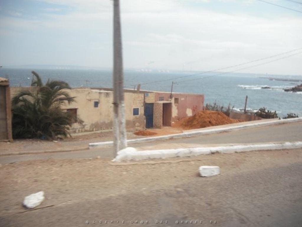 DSCF1136.jpg