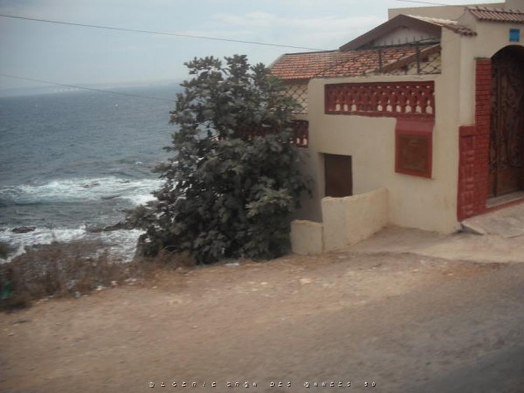 DSCF1137.jpg