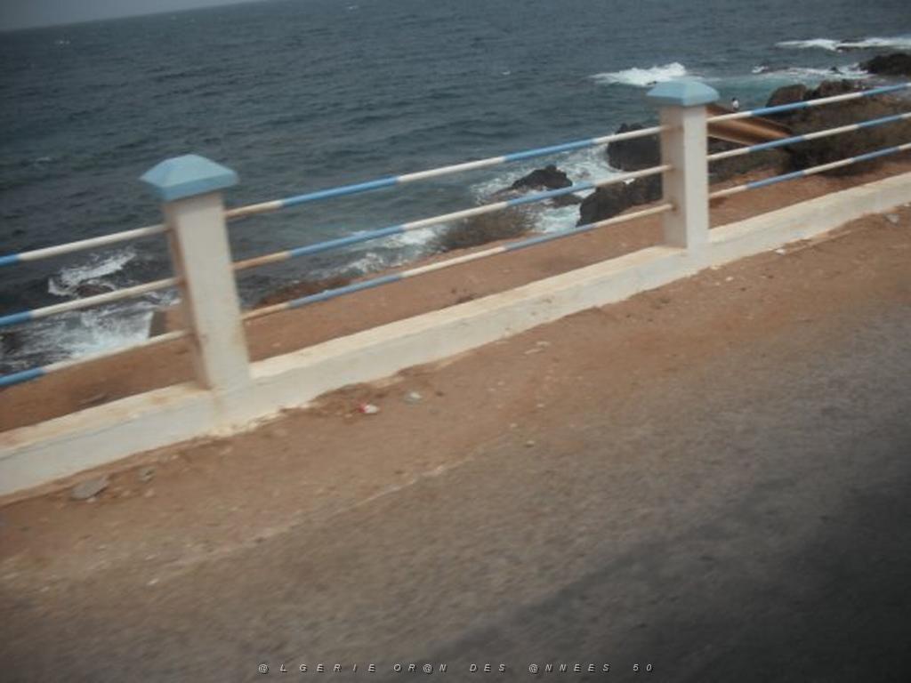 DSCF1144.jpg