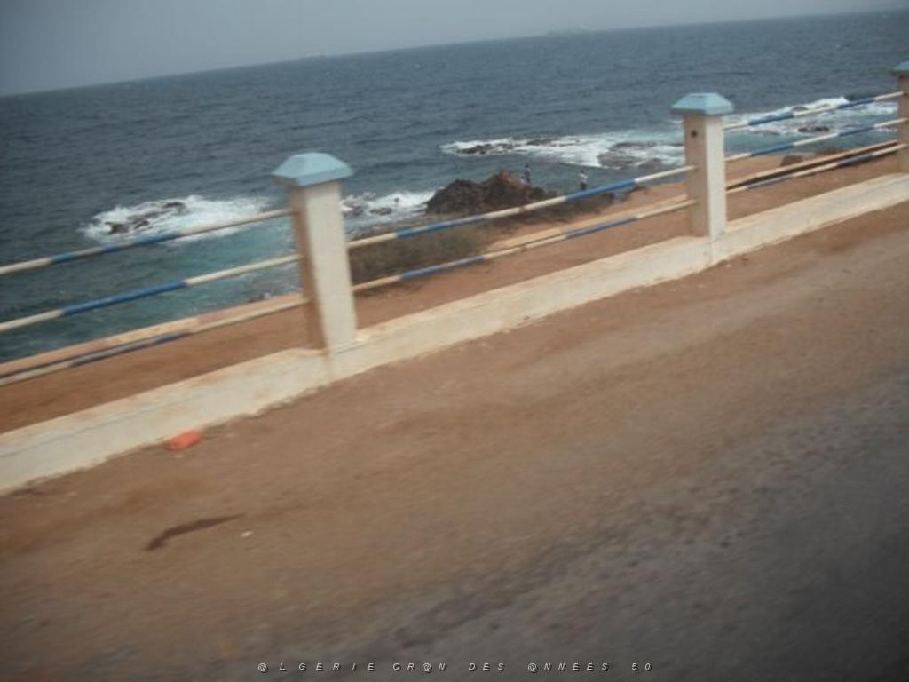 DSCF1145.jpg