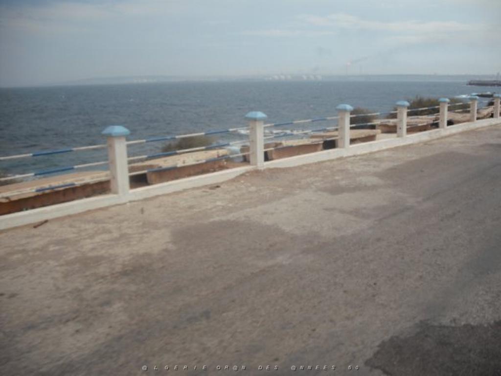 DSCF1146.jpg