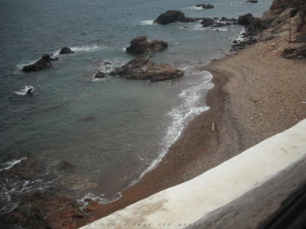 DSCF1147.jpg