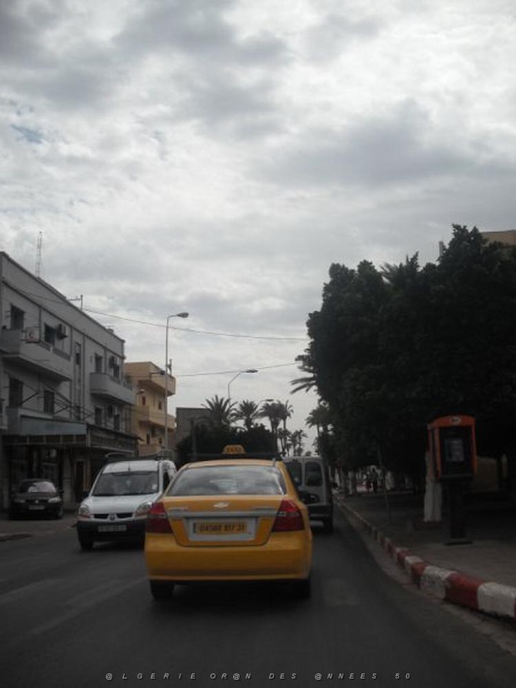 DSCF1156.jpg