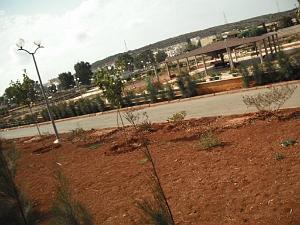 DSCF0058