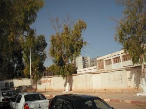 DSCF0077