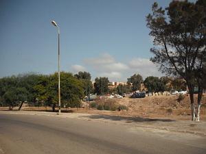 DSCF0096