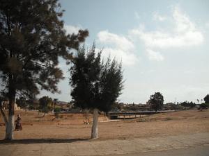 DSCF0098