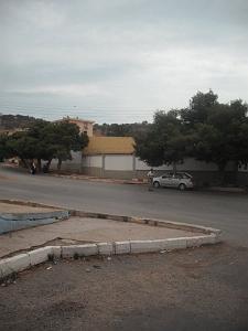 DSCF0921
