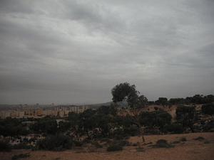 DSCF0940