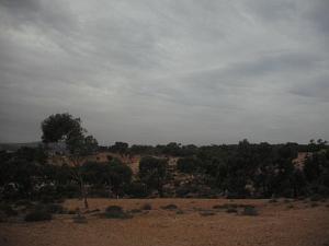 DSCF0941