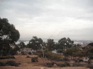 DSCF0943