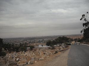 DSCF0946