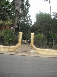 DSCF0978