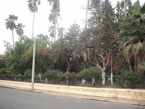 DSCF0980