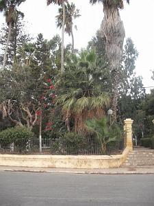 DSCF0987