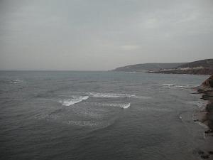 DSCF1048