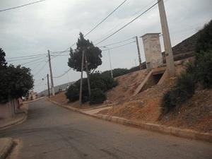 DSCF1103