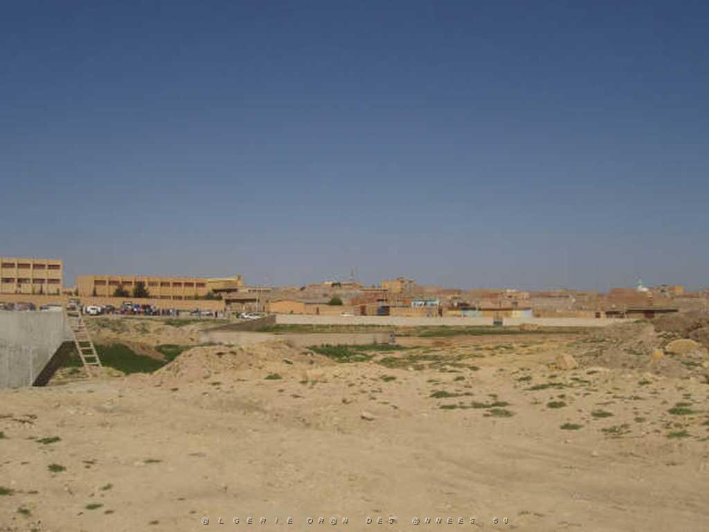 IMGP4152.jpg