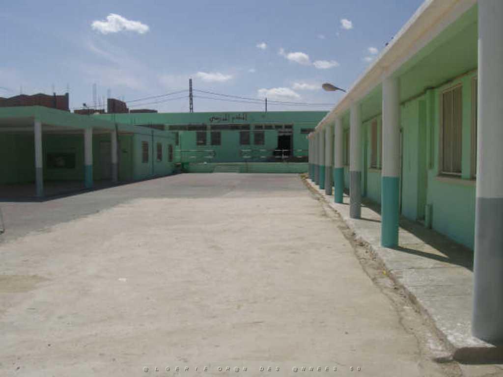IMGP4217.jpg