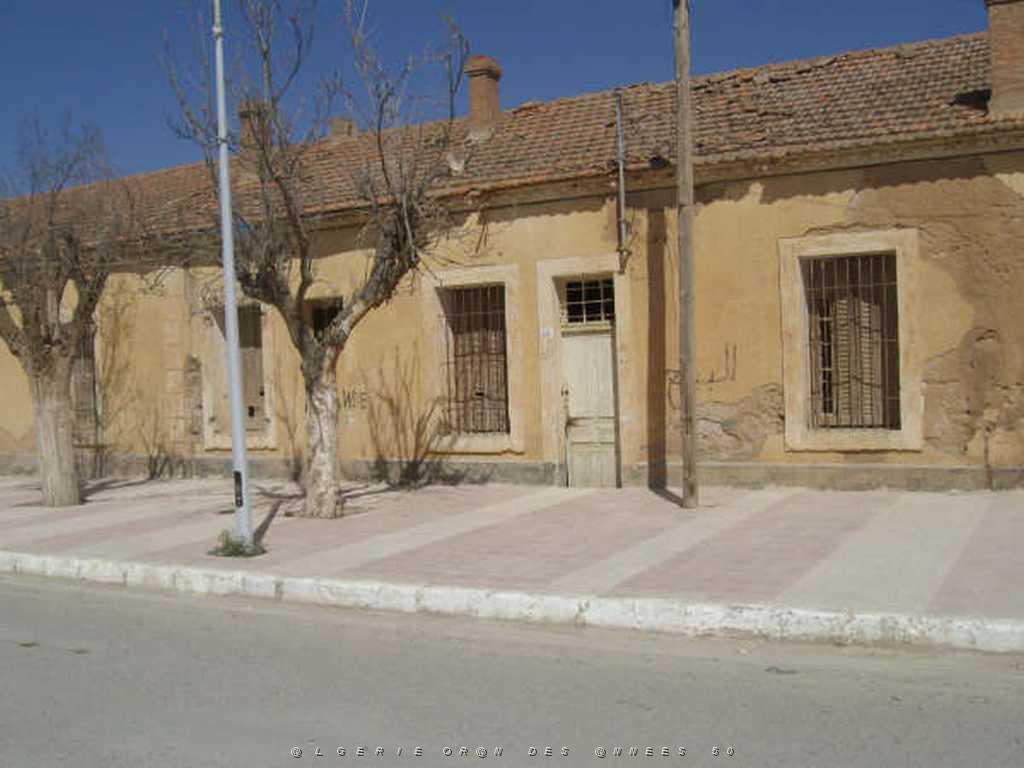 IMGP4223.jpg