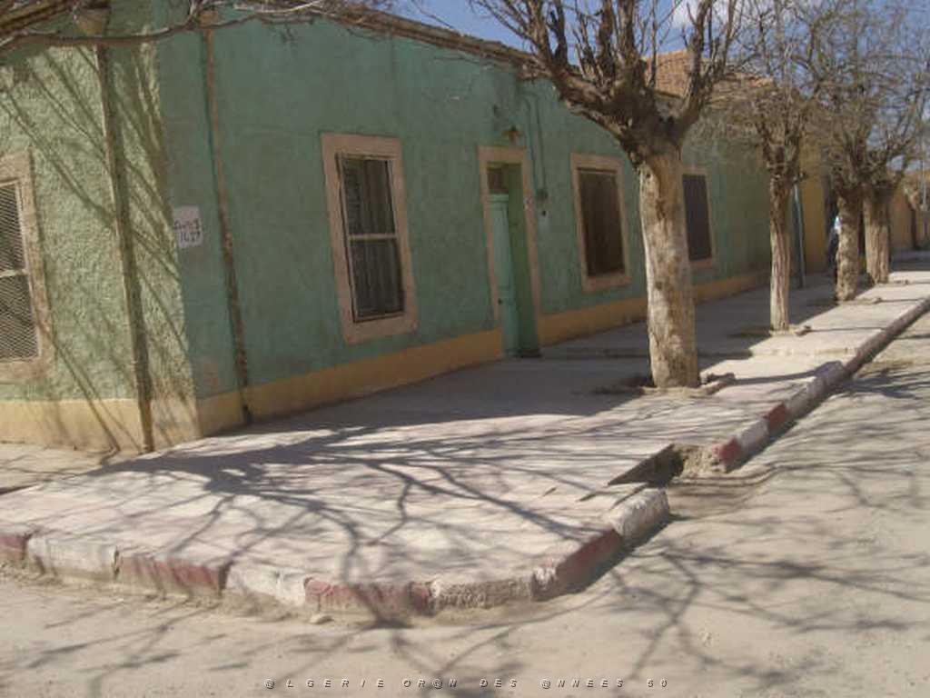 IMGP4224.jpg