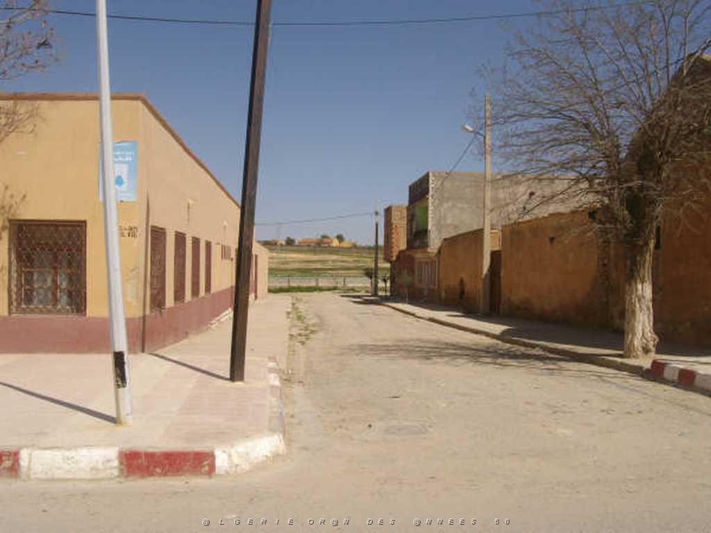 IMGP4225.jpg