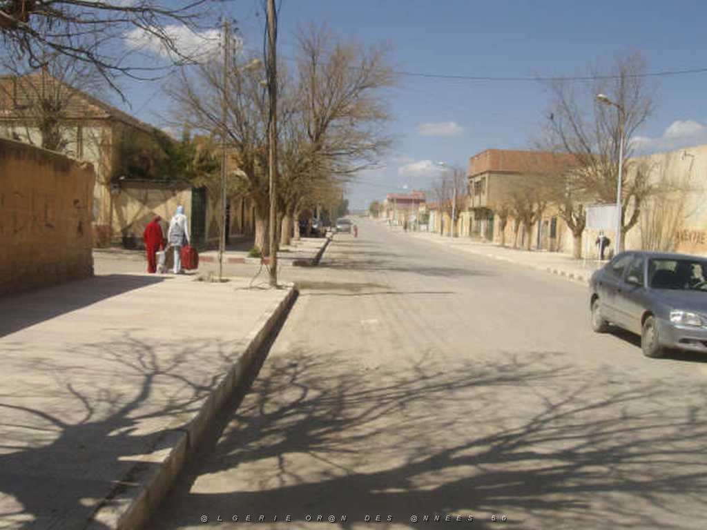 IMGP4231.jpg
