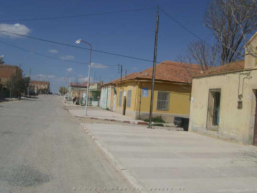 IMGP4238.jpg