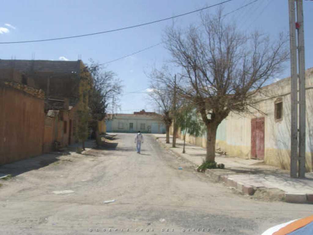 IMGP4240.jpg