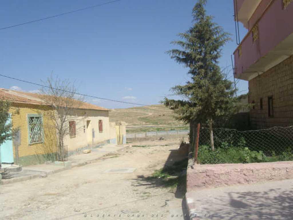 IMGP4257.jpg