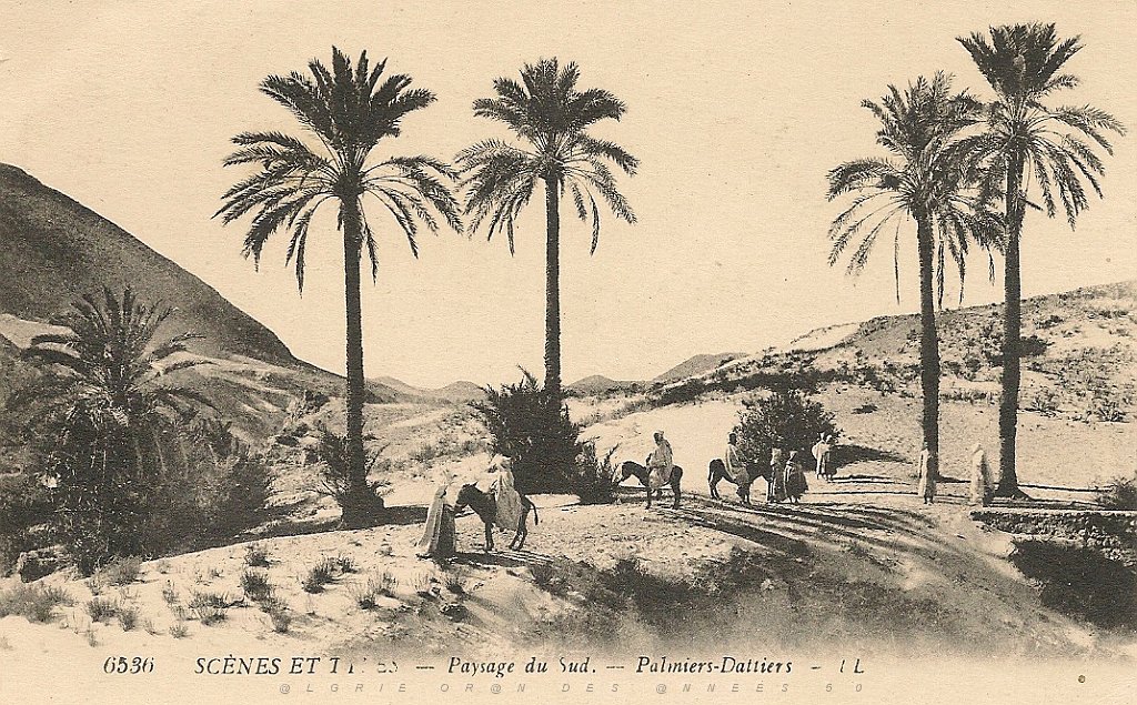Sud-3.jpg
