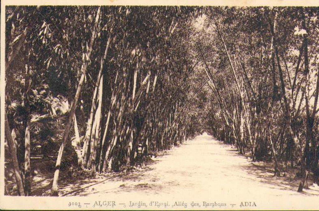 alger2_jardindessai.jpg