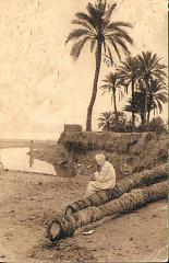 algerie_scene