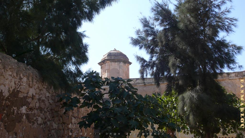 P1150456.JPG