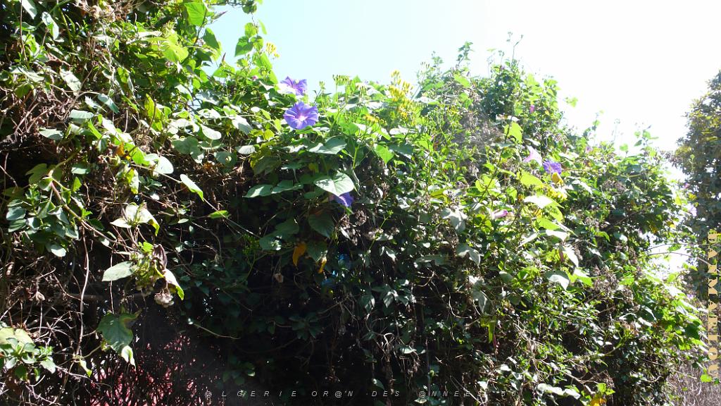 P1150463.JPG