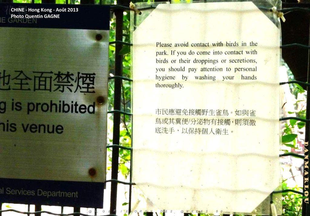 P1090856.JPG