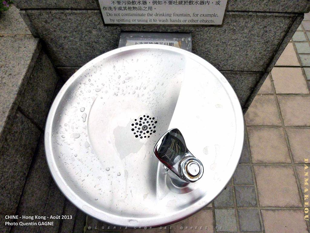 P1100044.JPG