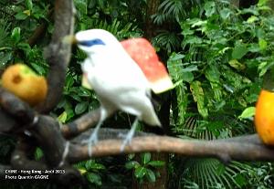 P1090880