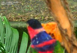 P1090884