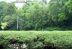 P1100060